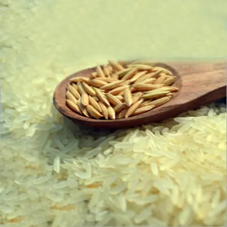 Baskathi Rice
