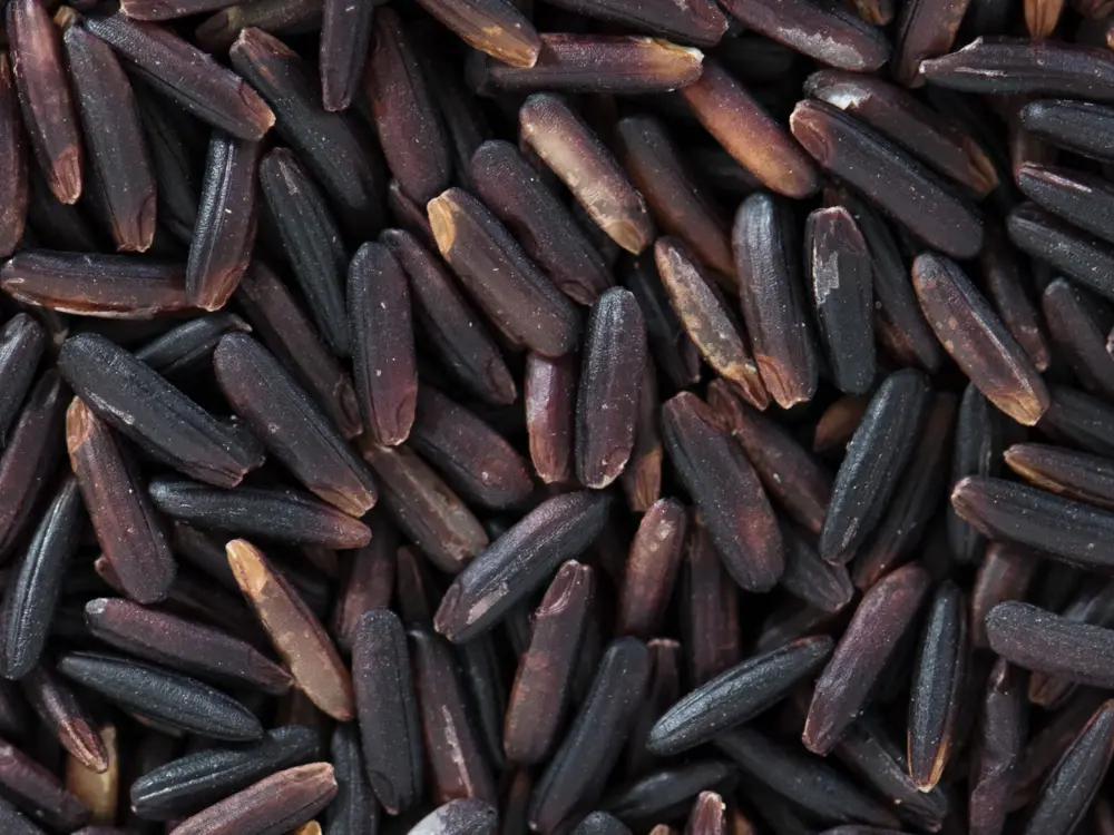Specialty black rice