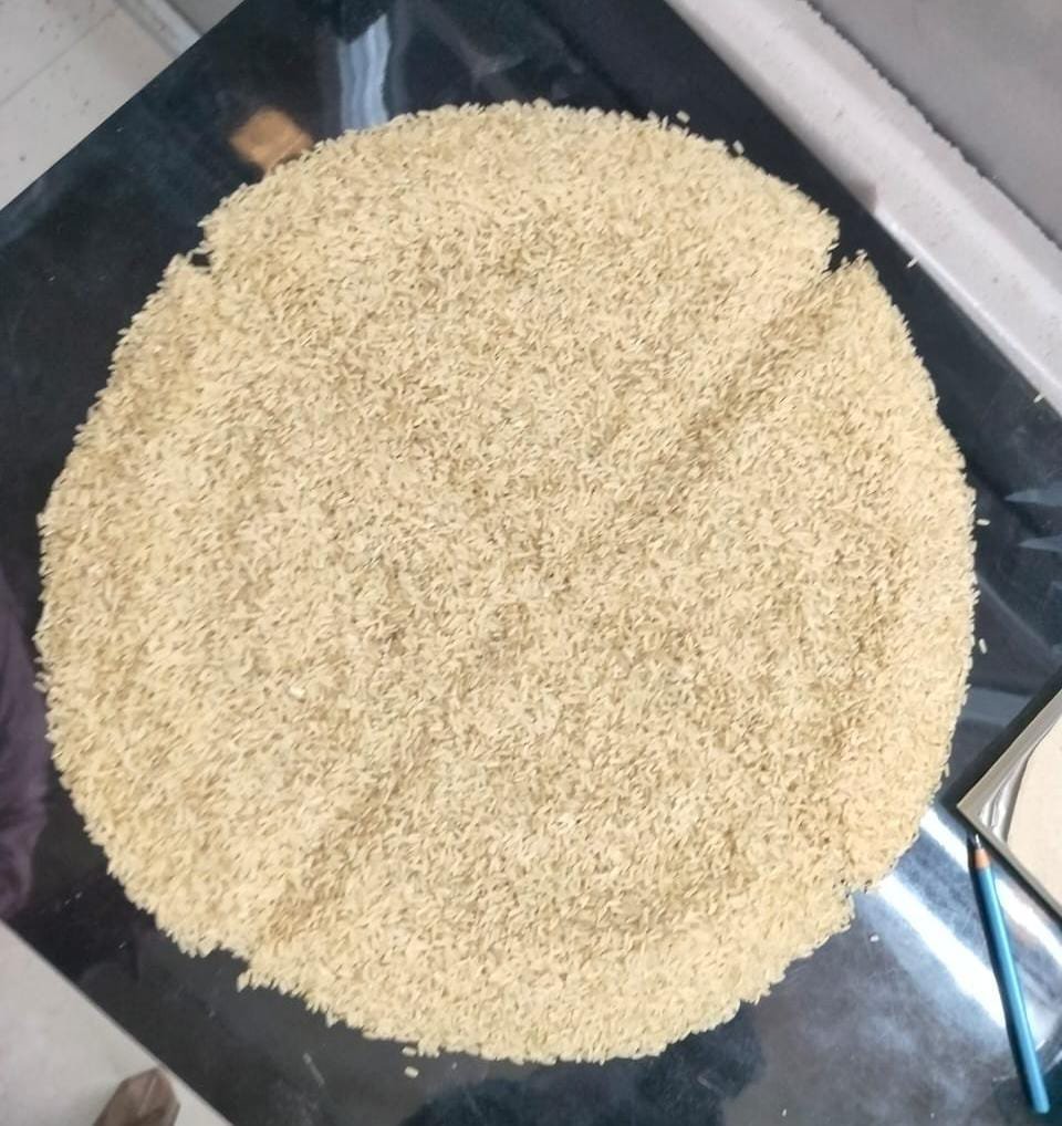 Selected rice grain sample