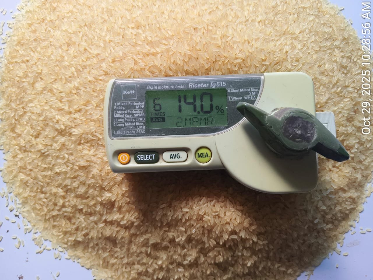 Rice moisture quality testing