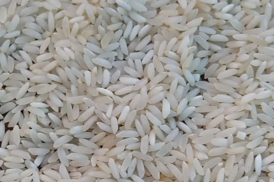 Sona Masoori Steam Rice